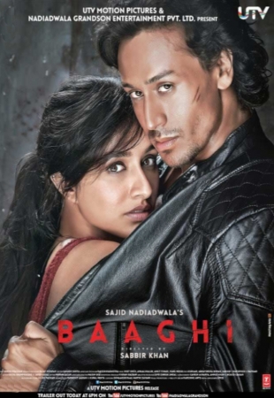 baagi
